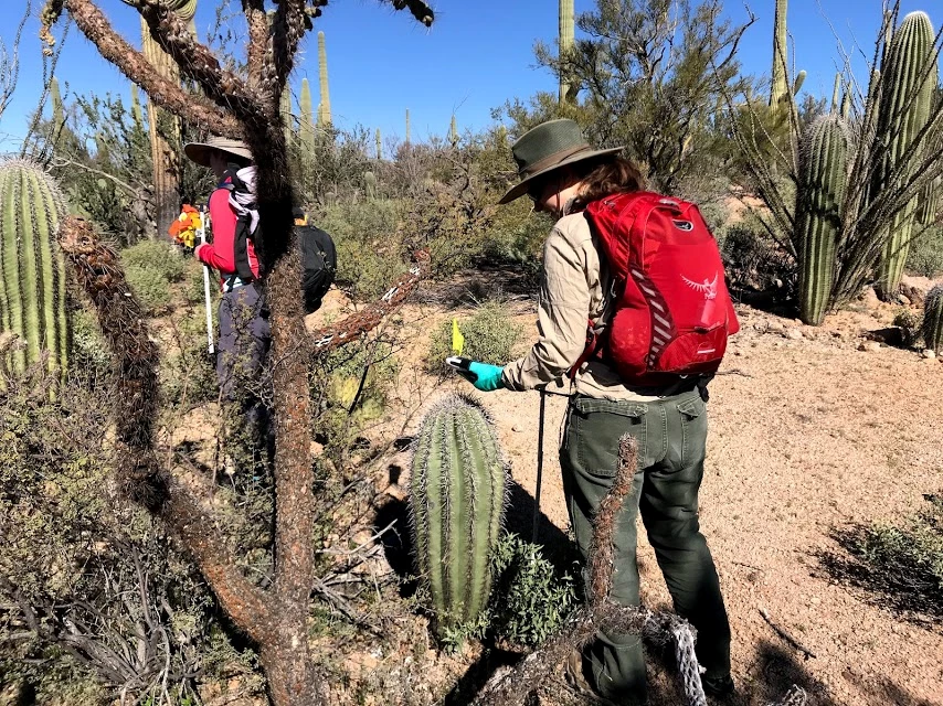 Volunteer uses GPS to collect data Volunteer uses GPS to collect data