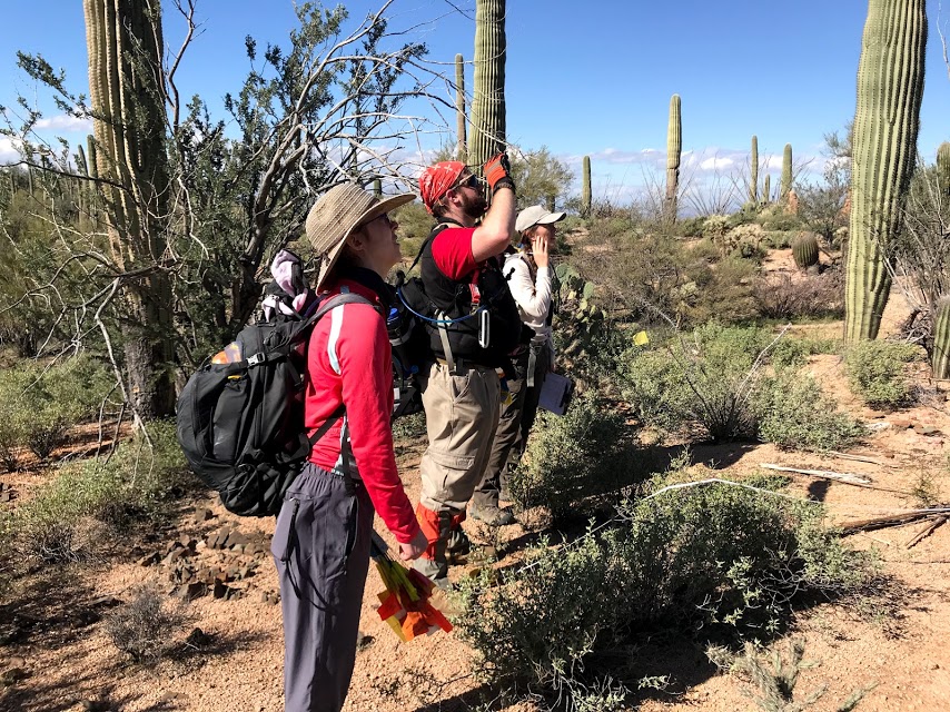 Volunteers work together to collect field data