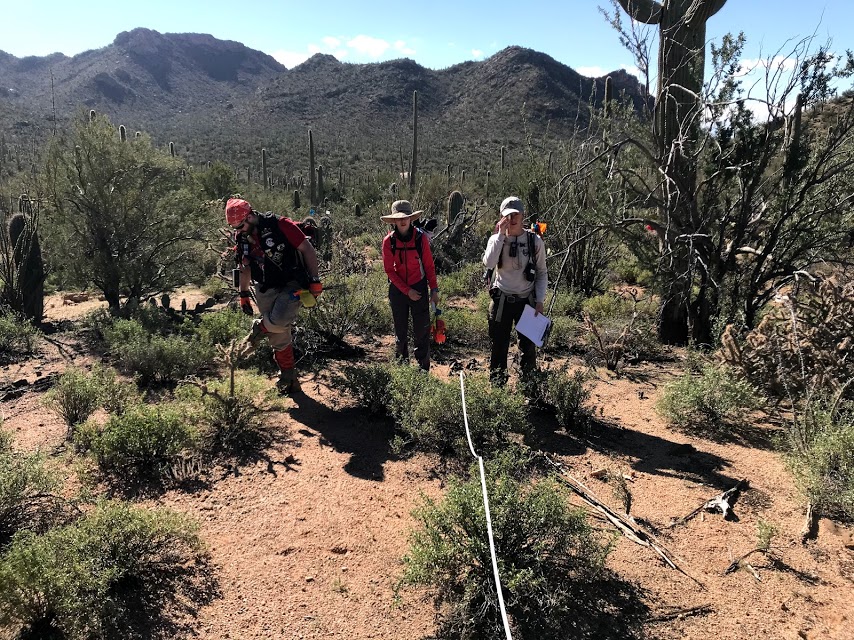 Park staff and volunteers work together to collect data