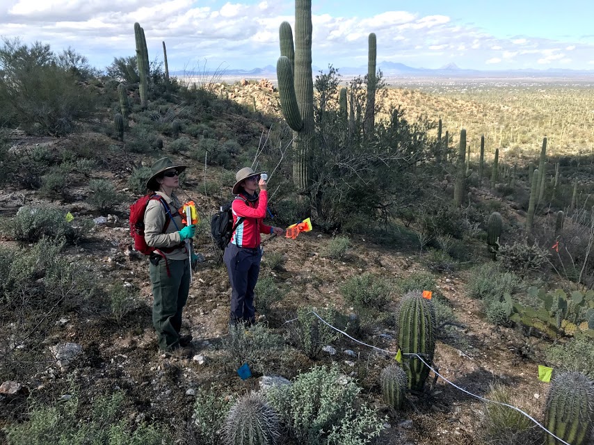 Volunteers work together to collect field data
