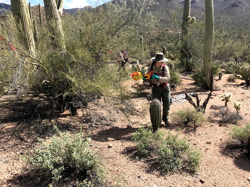 Volunteer carries data collection equipment