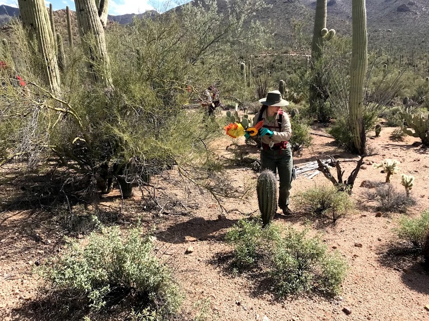 Volunteer carries data collection equipment Volunteer carries data collection equipment
