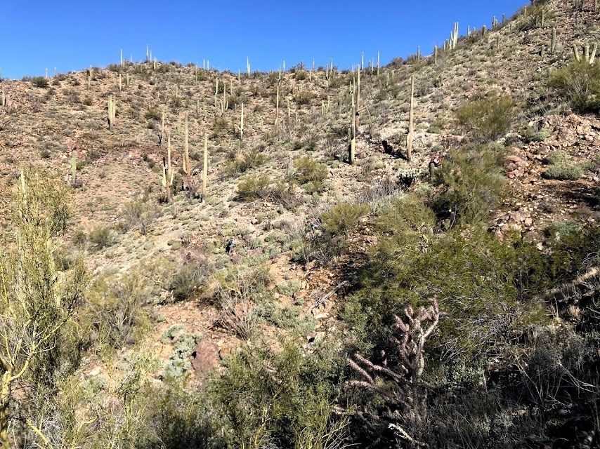 Desert landscape seen during census