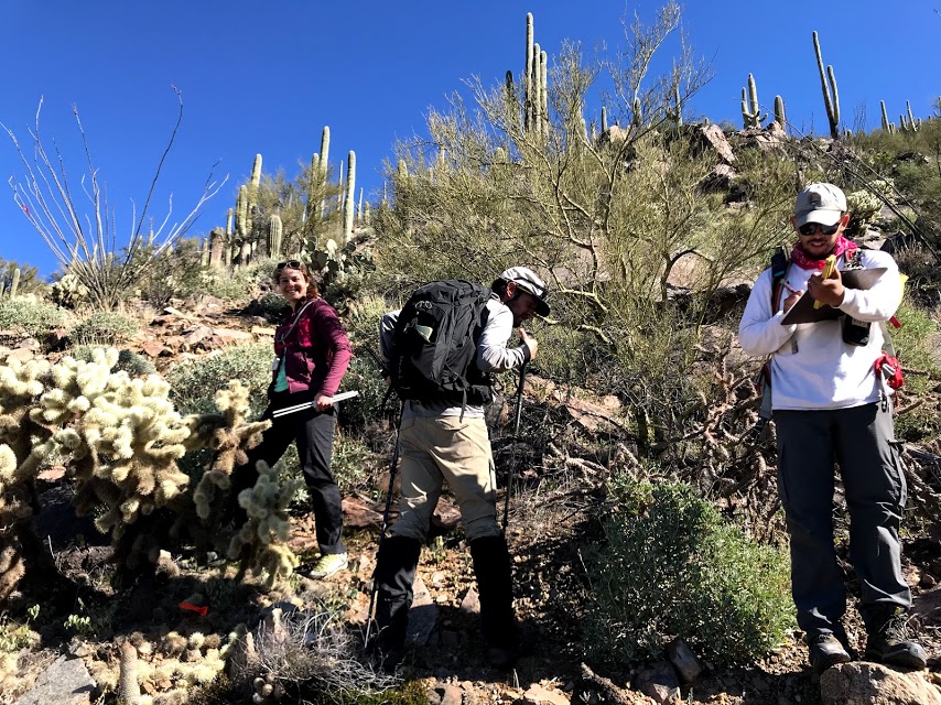 Park staff and volunteers work together to collect data