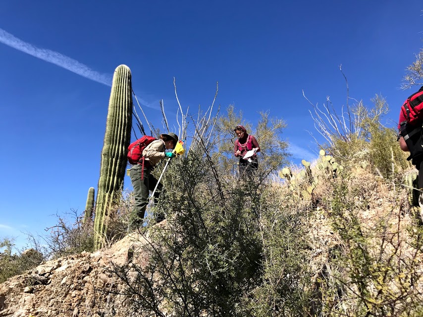 Volunteers on plot 13.