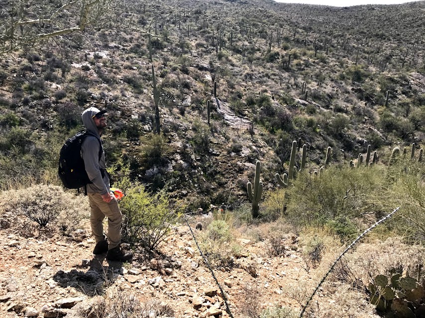 A volunteer on plot 13.