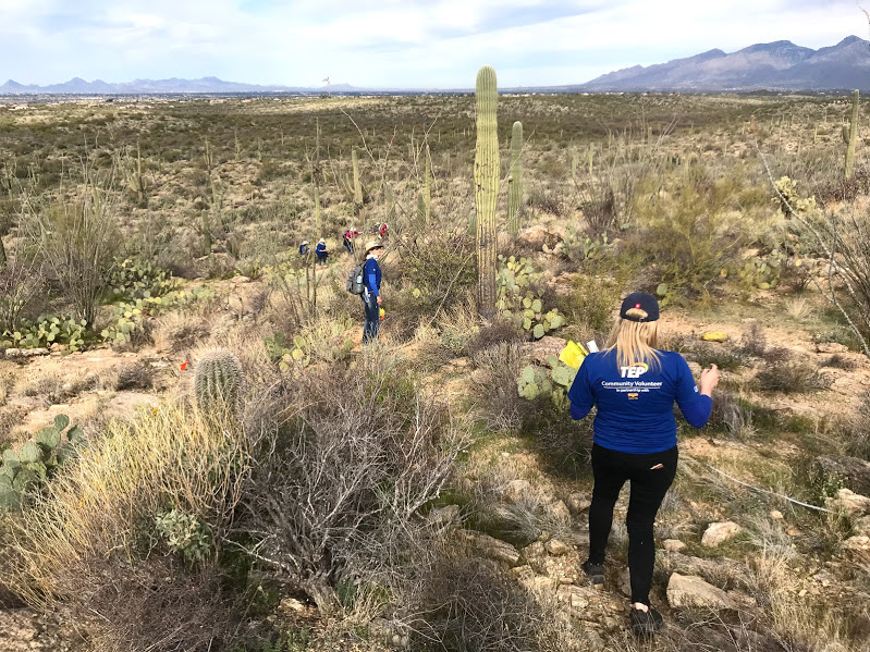 Volunteers from TEP on plot 6.