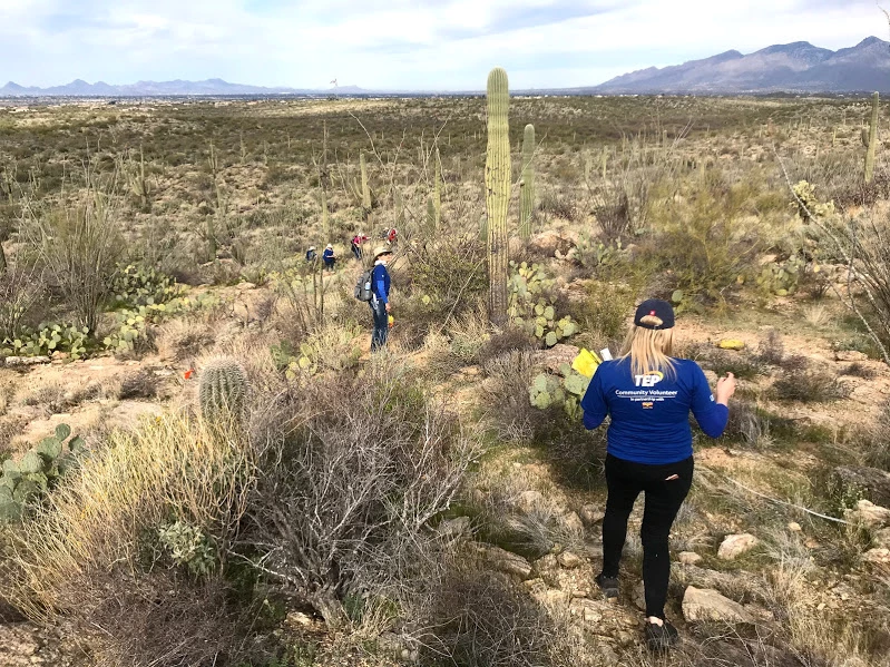 Volunteers from TEP on plot 6 Volunteers from TEP on plot 6.