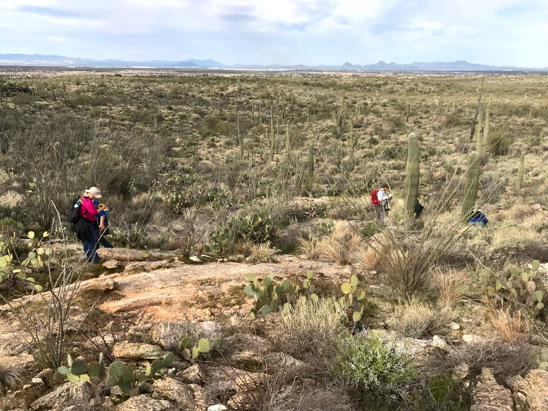 Volunteers on the plot Volunteers on the plot.