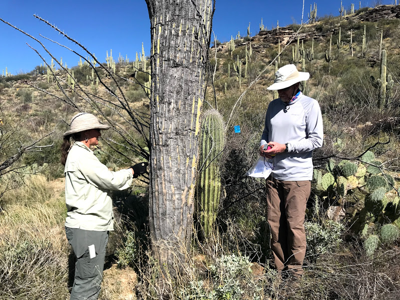 Adventure Scientists collecting field data