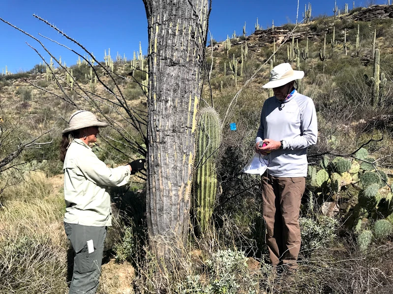 Adventure Scientists collecting field data Adventure Scientists collecting field data