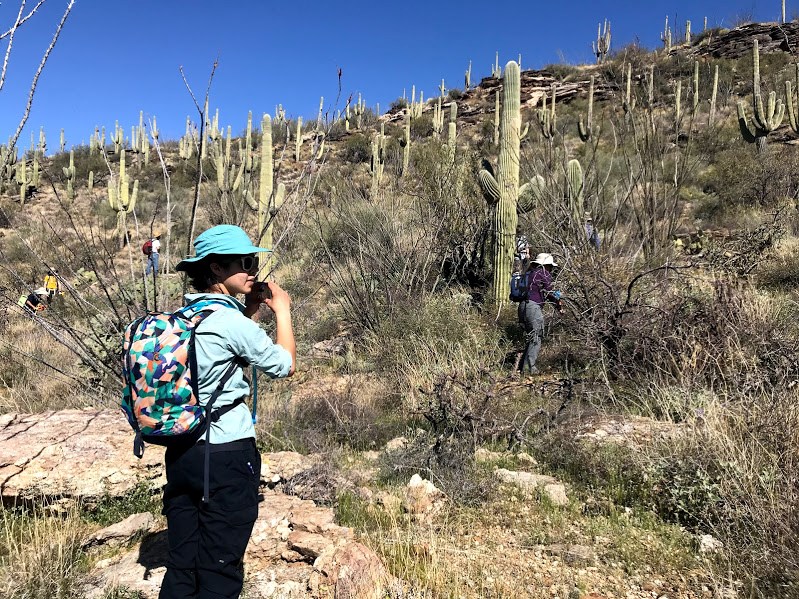 Adventure Scientists navigate desert terrain to collect data