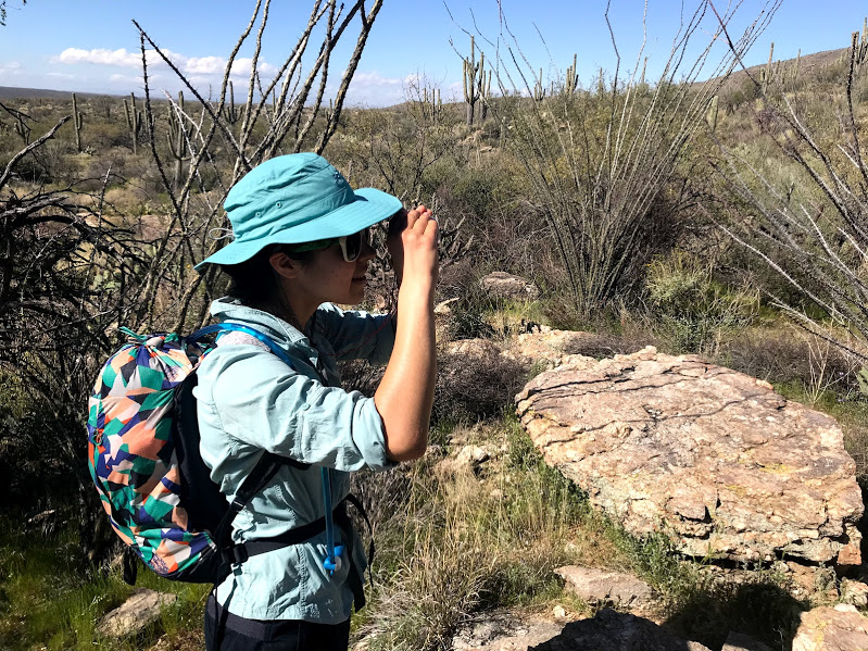 Adventure Scientist uses clinometer to measure saguaro