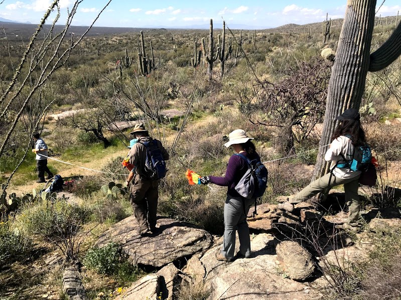 Adventure Scientists collecting field data