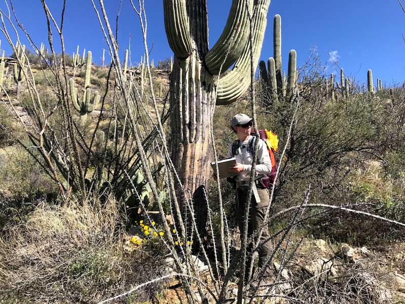 Park staff helps take field data
