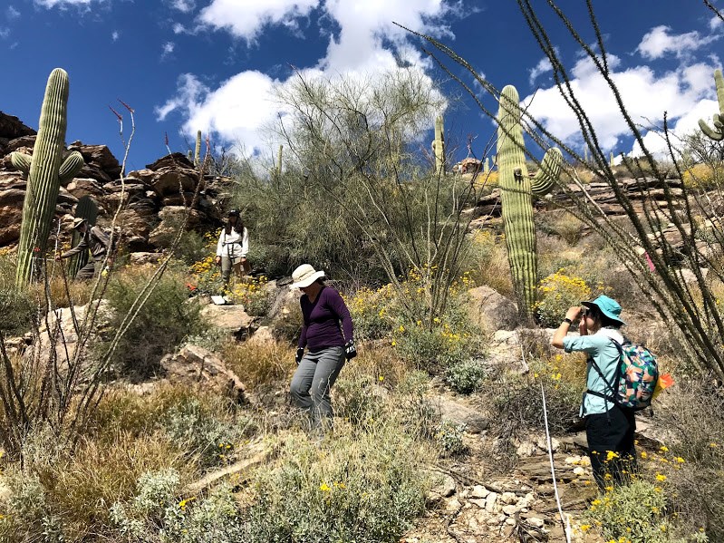 Adventure Scientists navigate desert terrain to collect data