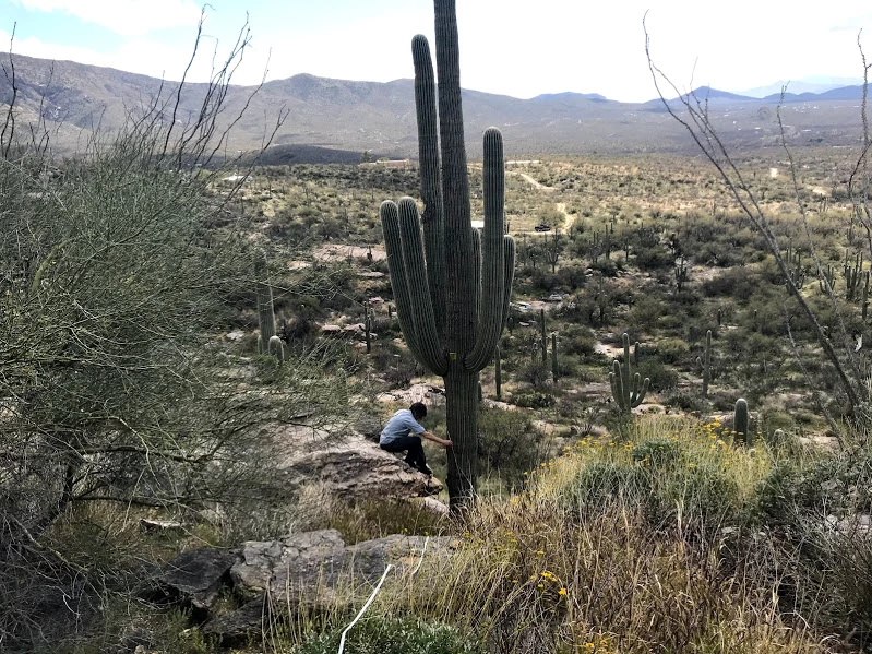 Adventure Scientist measures saguaro Adventure Scientist measures saguaro