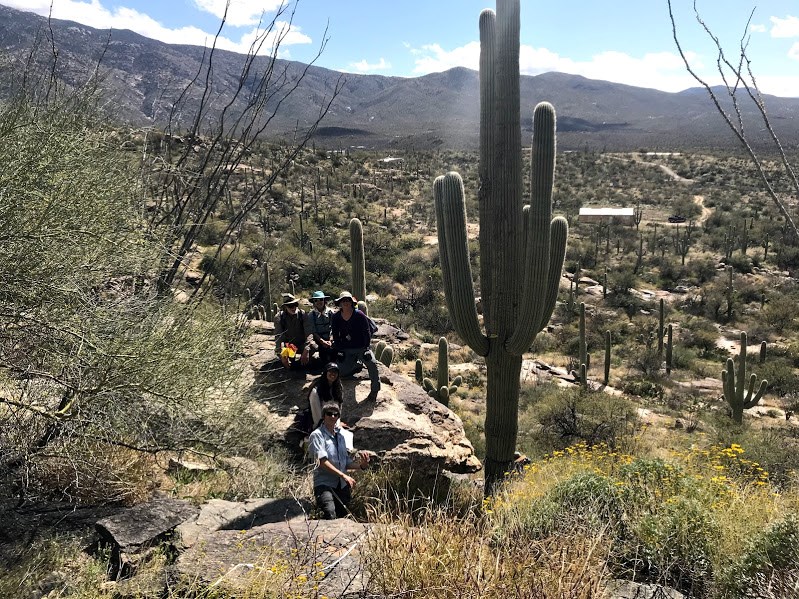 Adventure Scientists with large saguaro