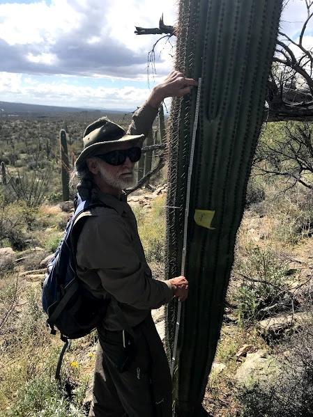 Adventure Scientist measures saguaro Adventure Scientist measures saguaro