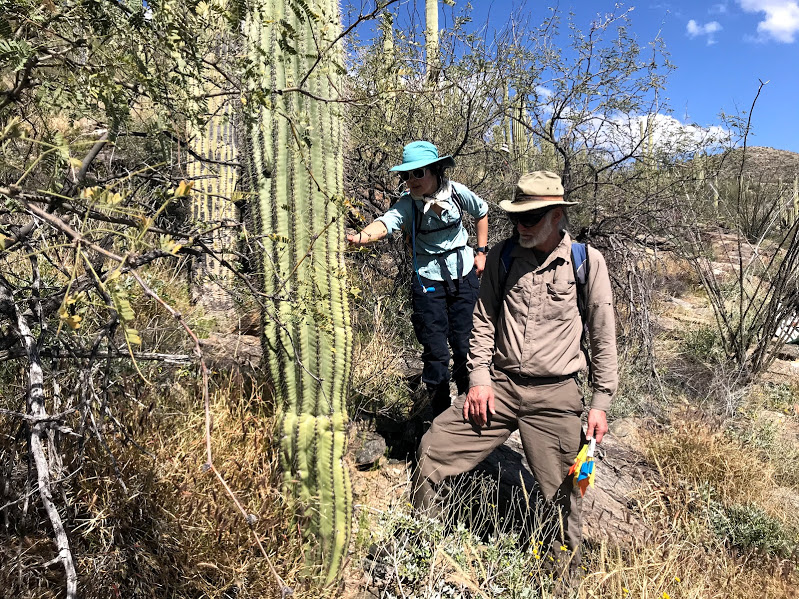 Adventure Scientists collecting field data