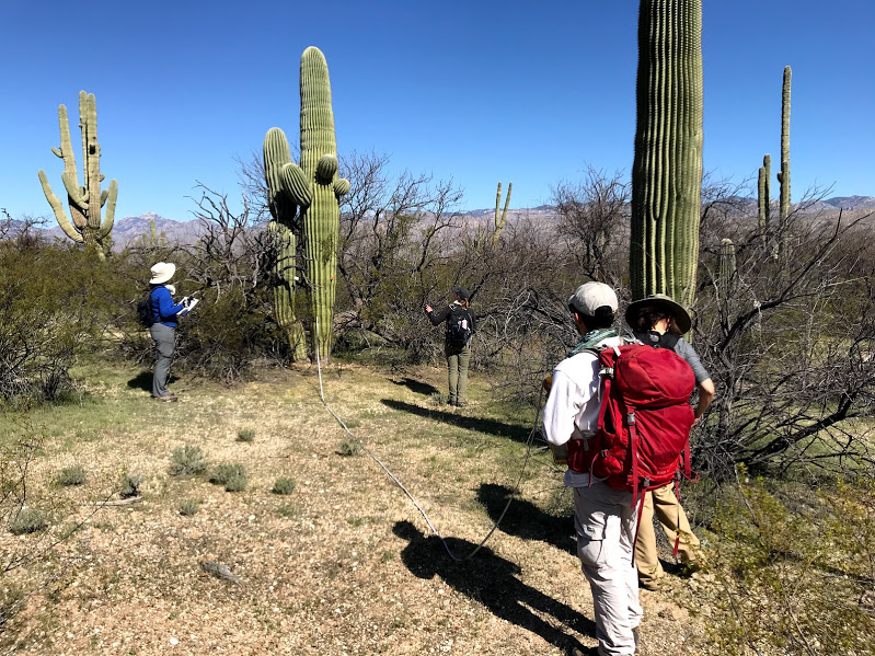 Adventure Scientists collecting field data