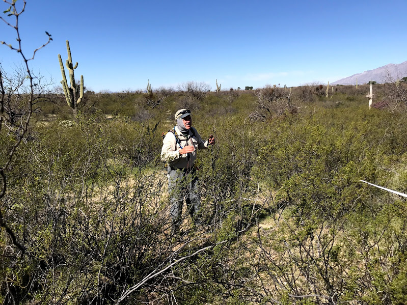 Adventure Scientist in desert landscape