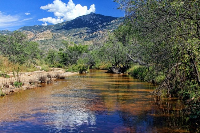 Rincon Creek with flowing water, lush vegetation, and a beautiful backdrop of Rincon Peak
