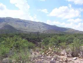 Desert view in front of mountains