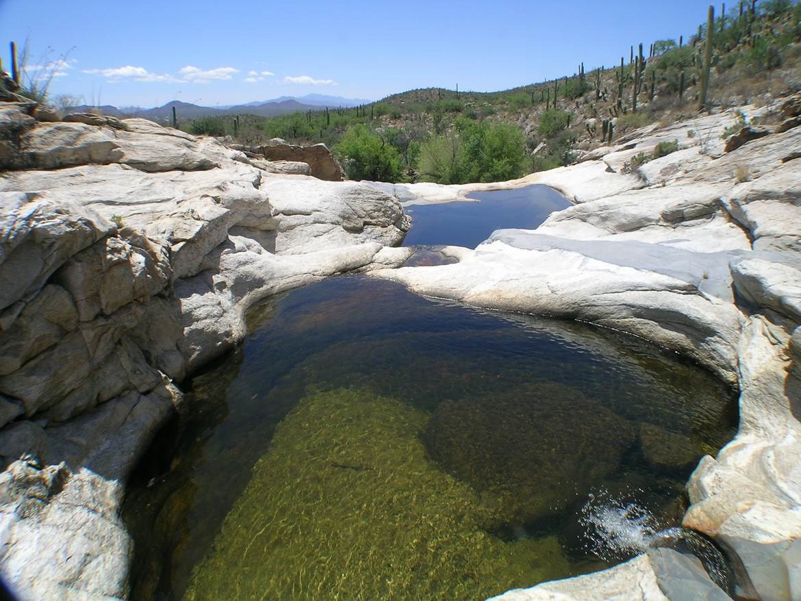 A tinaja or rock pool. It is a pool of clear, fresh water nestled in an expanse of bedrock, along a desert stream. Another tinaja is visible downstream in the distance and the background is a beautiful Sonoran desert landscape.