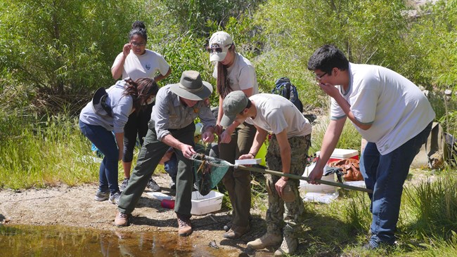 Local school group helping park staff with dragonfly survey.