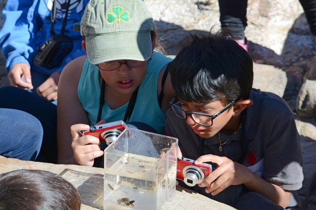 School students participating in an invertebrate program.