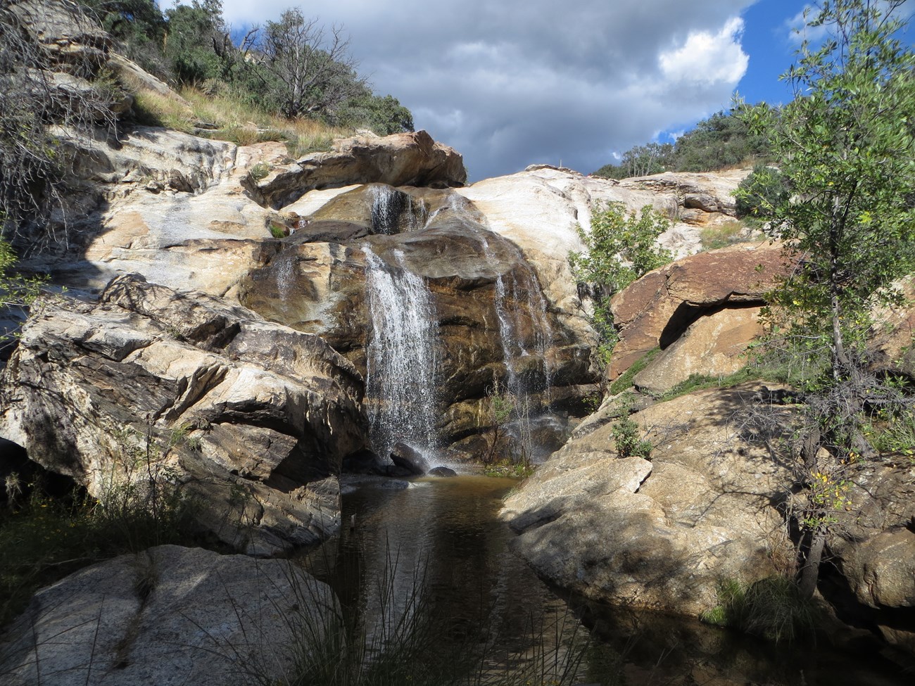 Adult Basic Wilderness Survival — Friends Of Government Canyon