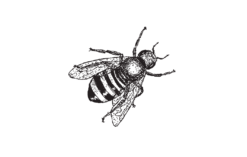 af bees