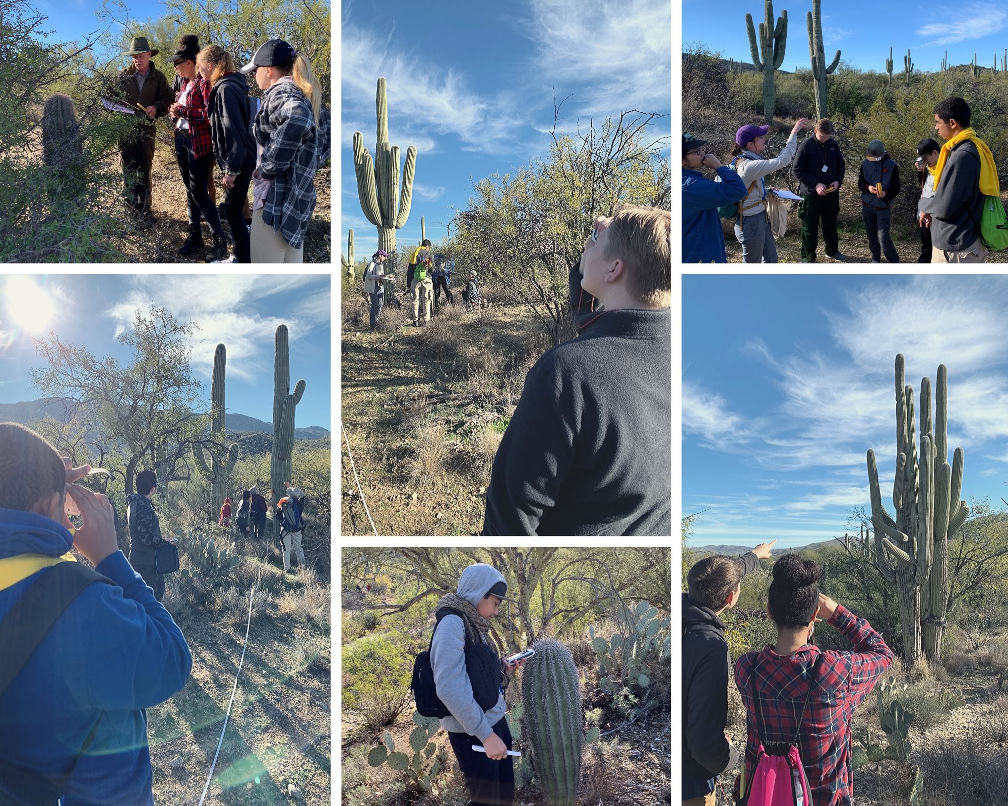 Photo collage of students using a clinometer and being out in the plot.