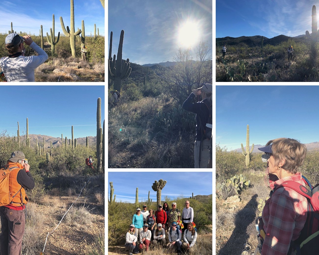 Photo collage of volunteers using a clinometer, walking around the plot, and a group photo.