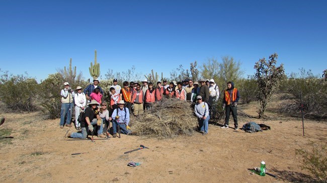 Park Volunteers posing next to a patch of buffelgrass they removed at the Park.