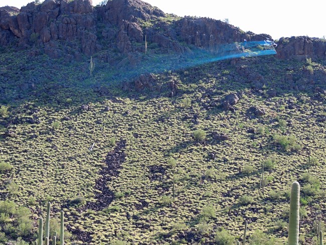 Helicopter sprays herbicide on a large patch of dense buffelgrass.