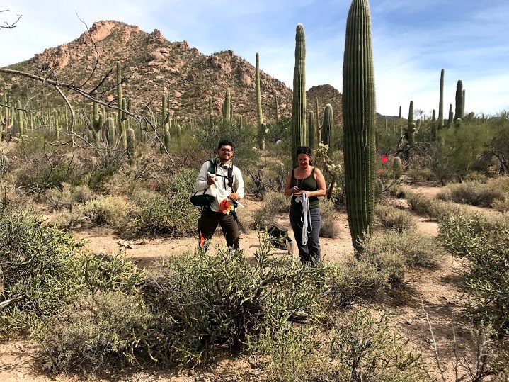 Park intern and volunteer posing for a photo after flagging a saguaro