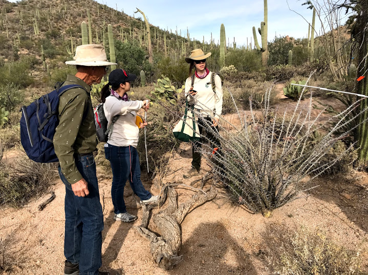 Park interns and volunteers talking