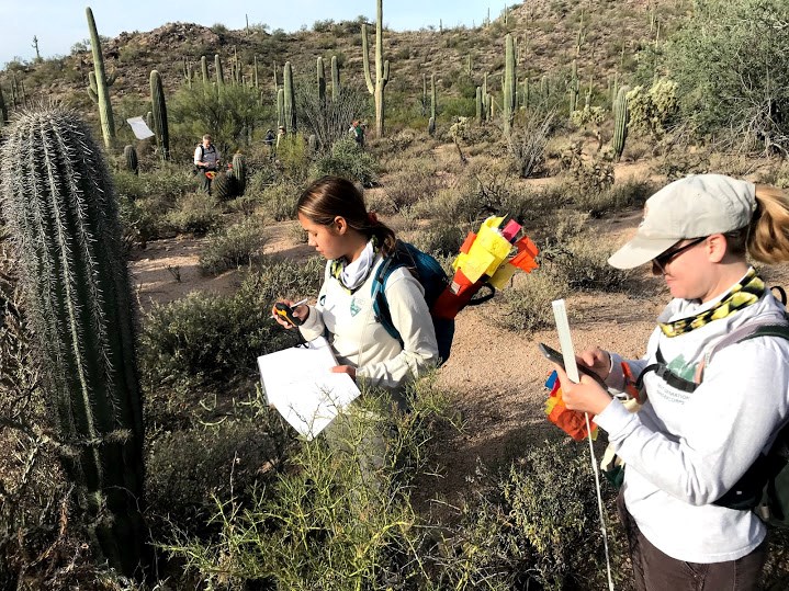 Park interns finding the coordinates of a saguaro using a gps