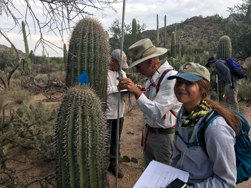 Park volunteers and interns out in the field