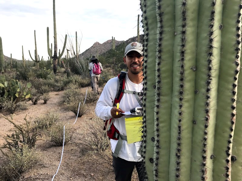 A man behind a saguaro
