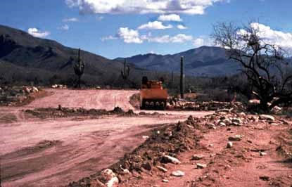 habitat loss due to housing developement
