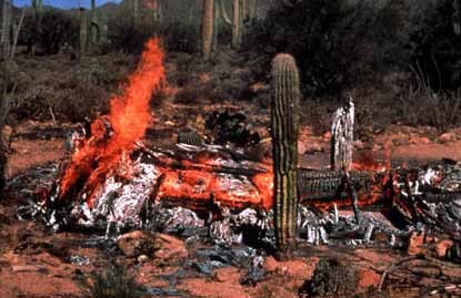 burnt saguaro
