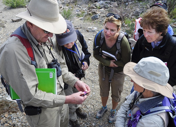 Volunteers learning to identify wildflowers