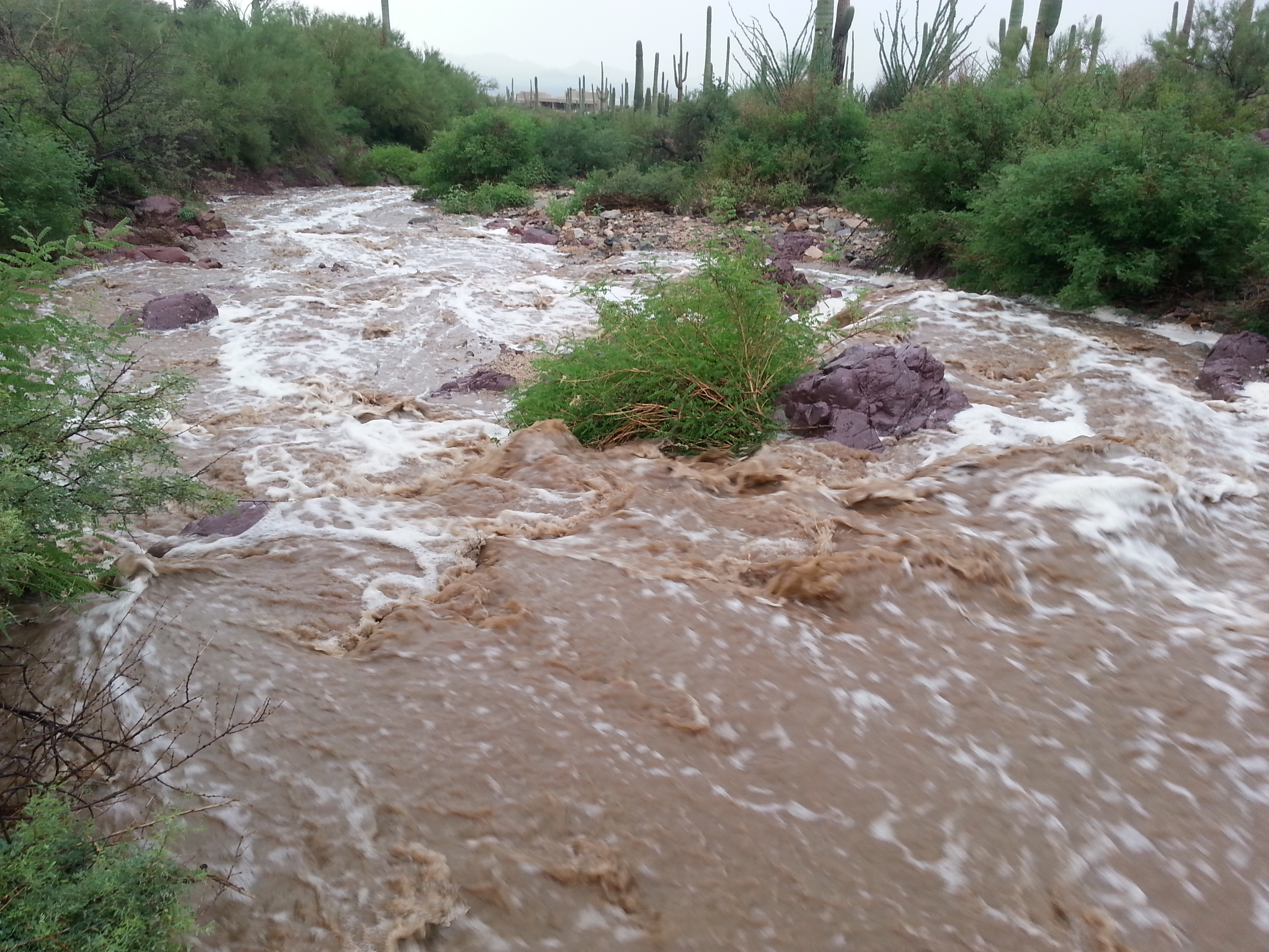 Javelina wash running water.