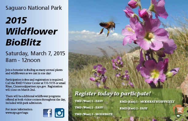 Wildflower Mini Bioblitz Flyer