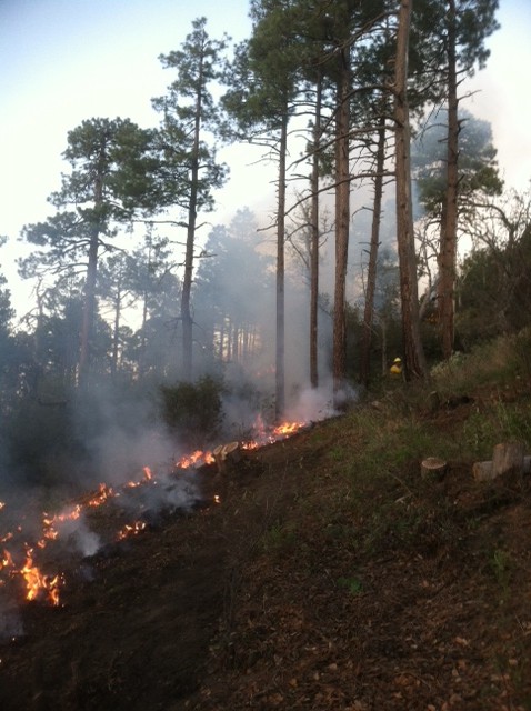 Deer Head Fire