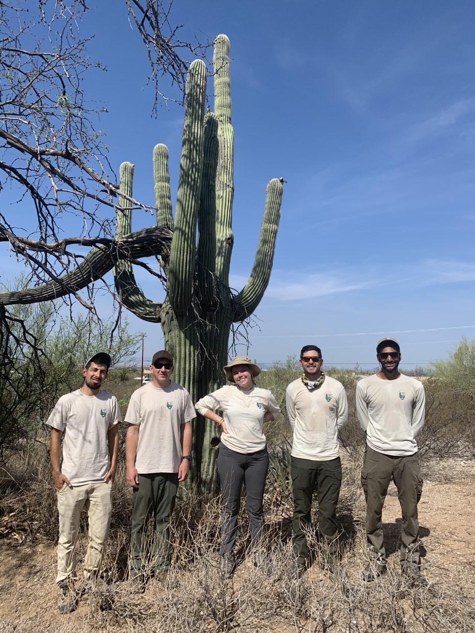 NPS employees standing near saguaro cactus