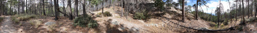 North Slope Trail Junction With The Cow Head Saddle Trail